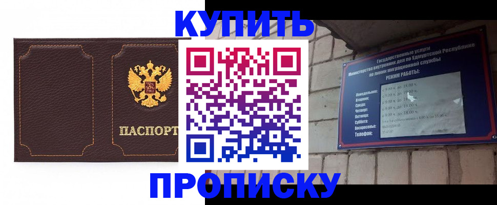 прописка поиск в Сольцах